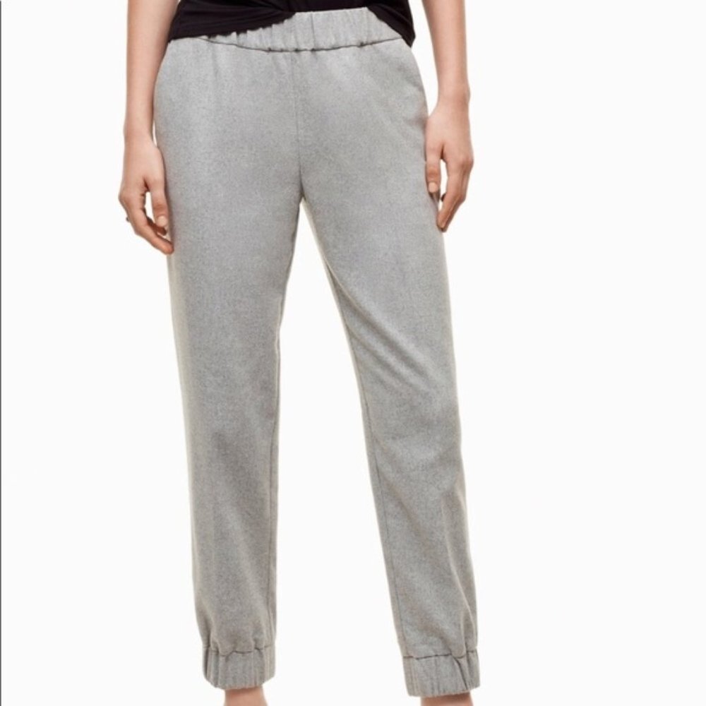 Aritzia Wilfred Pants | Turquet Pants